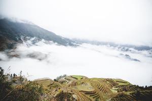Rice Terraces Near Guilin, China, 2015